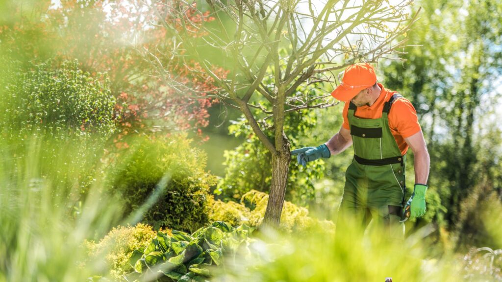 Landscape design Oakland County MI
